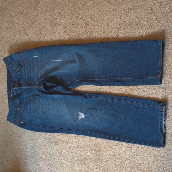 Lane Bryant Straight Leg Genius Fit Jeans Size 14 Average - Picture 4 of 8